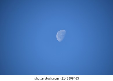 The moon seen during the day with a crisp blue sky in the background