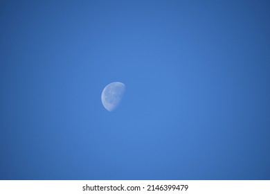 The moon seen during the day with a crisp blue sky in the background