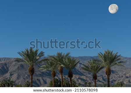 Moon setting early in the morning, shown in the Coachella Valley near Palm Desert.