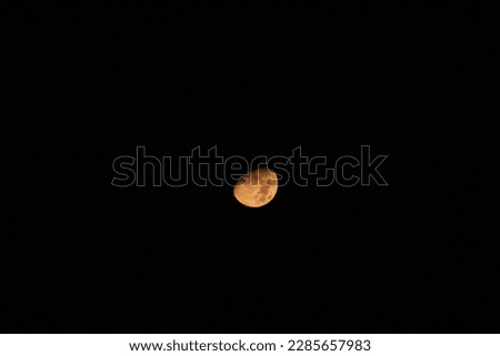 moon is shaining in the night  Stock photo © 
