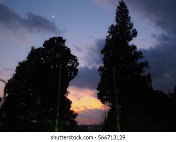 MOON STAR