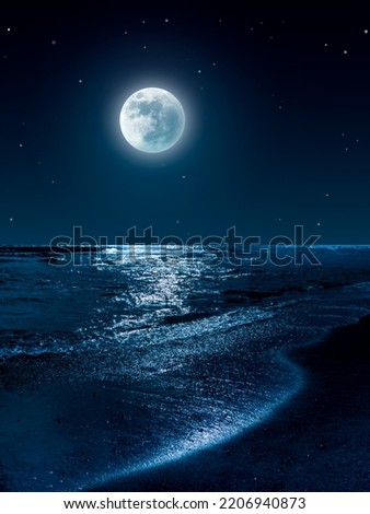 Moon and stars over the sea. Calm night at beach