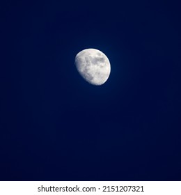 Moon Timelapse, Stock Time Lapse : Full Moon Rise In Dark Nature Sky, Night Time. Full Moon Disk Time Lapse With Moon Light Up In Night Dark Black Sky. High-quality Free Video Footage Or Timelapse