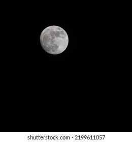 Moon Timelapse, Stock Time Lapse : Full Moon Rise In Dark Nature Sky, Night Time. Full Moon Disk Time Lapse With Moon Light Up In Night Dark Black Sky. High-quality Free Video Footage Or Timelapse