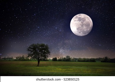 Autumn Full Moon Images, Stock Photos & Vectors | Shutterstock