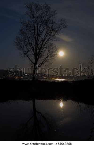 Moon and a tree\
reflecting on a lake