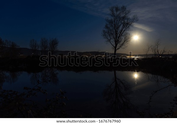 Moon and trees reflecting on the Trasimeno lake
surface at night
