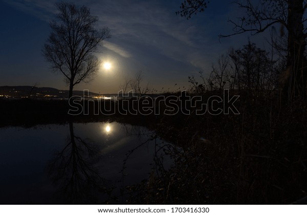 Moon and trees reflecting on the Trasimeno lake\
surface at night