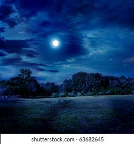 moonlight landscape - Powered by Shutterstock