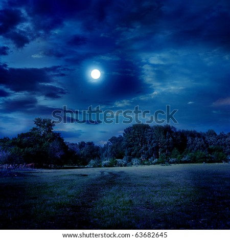 Similar – Image, Stock Photo Summer night (dream) Dark