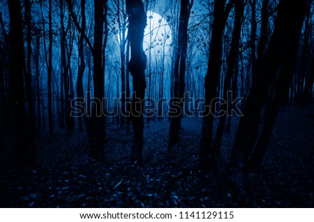 moonlight landscape in horror halloween woods