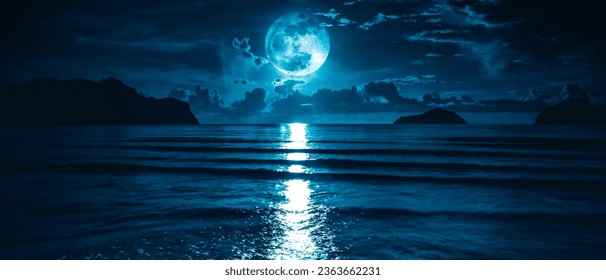 Moonlight Shadow, 
Nighttime Moonlit Scenery, 
Lunar Illumination, 
Shadows in Moonlight, 
Moonbeam Serenity,