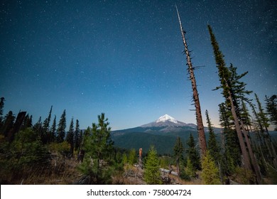 Moonlight Shines On A Meadow And Mt. Hood Under Night Sky With Stars