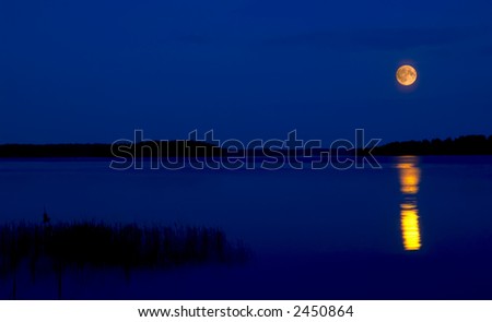 Similar – Image, Stock Photo moonlight sonata
