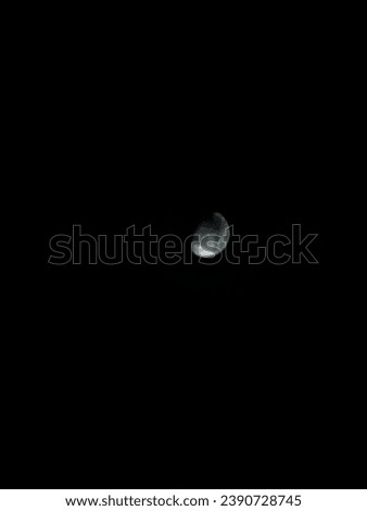 Similar – Image, Stock Photo moonlight sonata