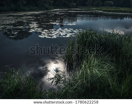 Similar – Image, Stock Photo seascape Reflection