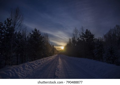 Moonlit night in the winter forest - Powered by Shutterstock