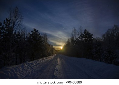 Moonlit night in the winter forest - Powered by Shutterstock