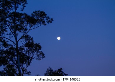 Moonrise Over The Australian Bush