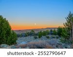 The Moonrise Over Monitor Pass