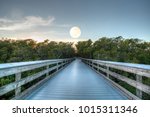 Moonset over the Boardwalk leading to Clam Pass at sunrise in Naples, Florida