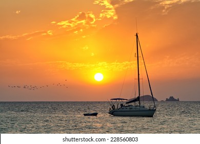 Moored sailboat at the coast of Ibiza in sunset, flock of seagulls passing by