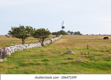 Mooreland with a lighthouse 