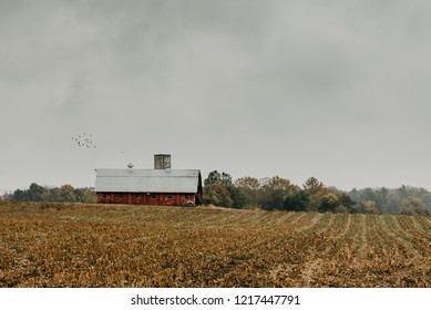 Mooresville IN USA 10 26 2018: A red barn located in a cornfield off a Indiana country road. 