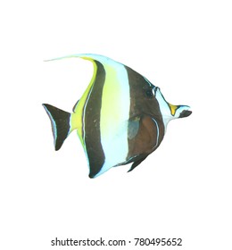 Moorish Idol Fish Isolated On White Stock Photo 780495652 | Shutterstock