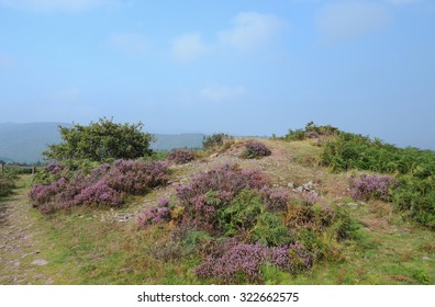 Moorland Above Dunster On Exmoor National Park In Somerset, England, UK