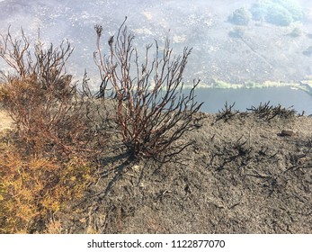 Moorland Fire Spreads Across Saddleworth Moor, Manchester, UK June 2018