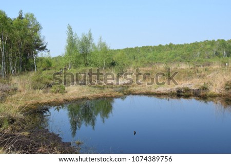 Similar – Moorland landscape with lake, grasses, trees and bizarre branches in water with reflection