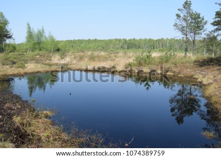 Similar – Moorland landscape with lake, grasses, trees and bizarre branches in water with reflection