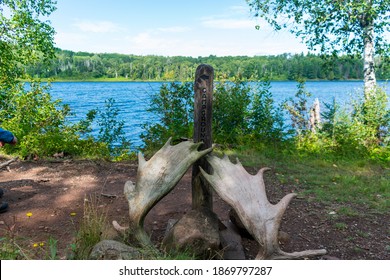 Moose Antlers In Isle Royale National Park