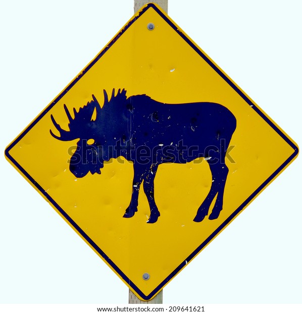 moose crossing road\
sign (elk road sign, moose crossing sign, moose crossing warning\
sign, moose symbol)