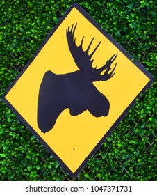 Moose Crossing Sign