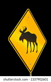 Moose Crossing Sign 