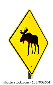 Moose Crossing Sign 