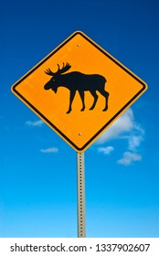 Moose Crossing Sign 