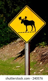 Moose Crossing Sign