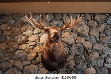 Moose Head Mounted On Stone Wall