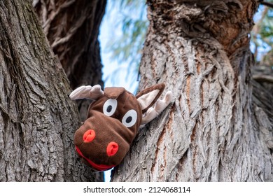 tree trunks plush