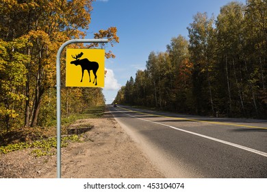 Moose Road Sign, Autumn