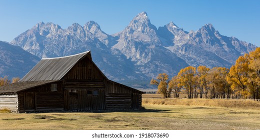 Moose, Wyoming USA - October 10, 2020: Thomas A. Moulton Barn near Mormon Row on Antelope Flats Road in Moose, Wyoming.  The Grand Teton Mountains create a picturesque backdrop.
