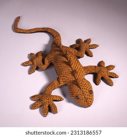 Moppet lizard studio on a white background