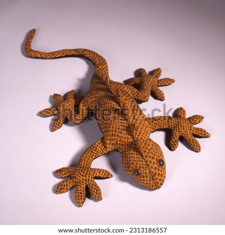 Moppet lizard studio on a white background