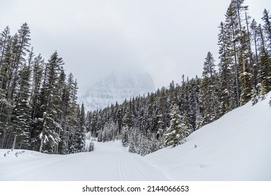 Moraine Lake Road In Winter Time, Alberta, Canada