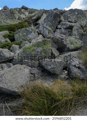 Moraine rocks in Vitosha mountain - Sofia, Bulgaria