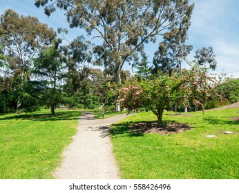 Morang Road Reserve Is A Small Suburban Park Near The Yarra River In Hawthorn, Melbourne, Australia.