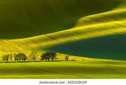 Moravian fields bathed in the glow of the setting sun.